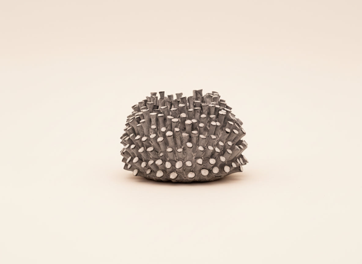 Textured gray sphere on a sandy surface with a blurred natural background